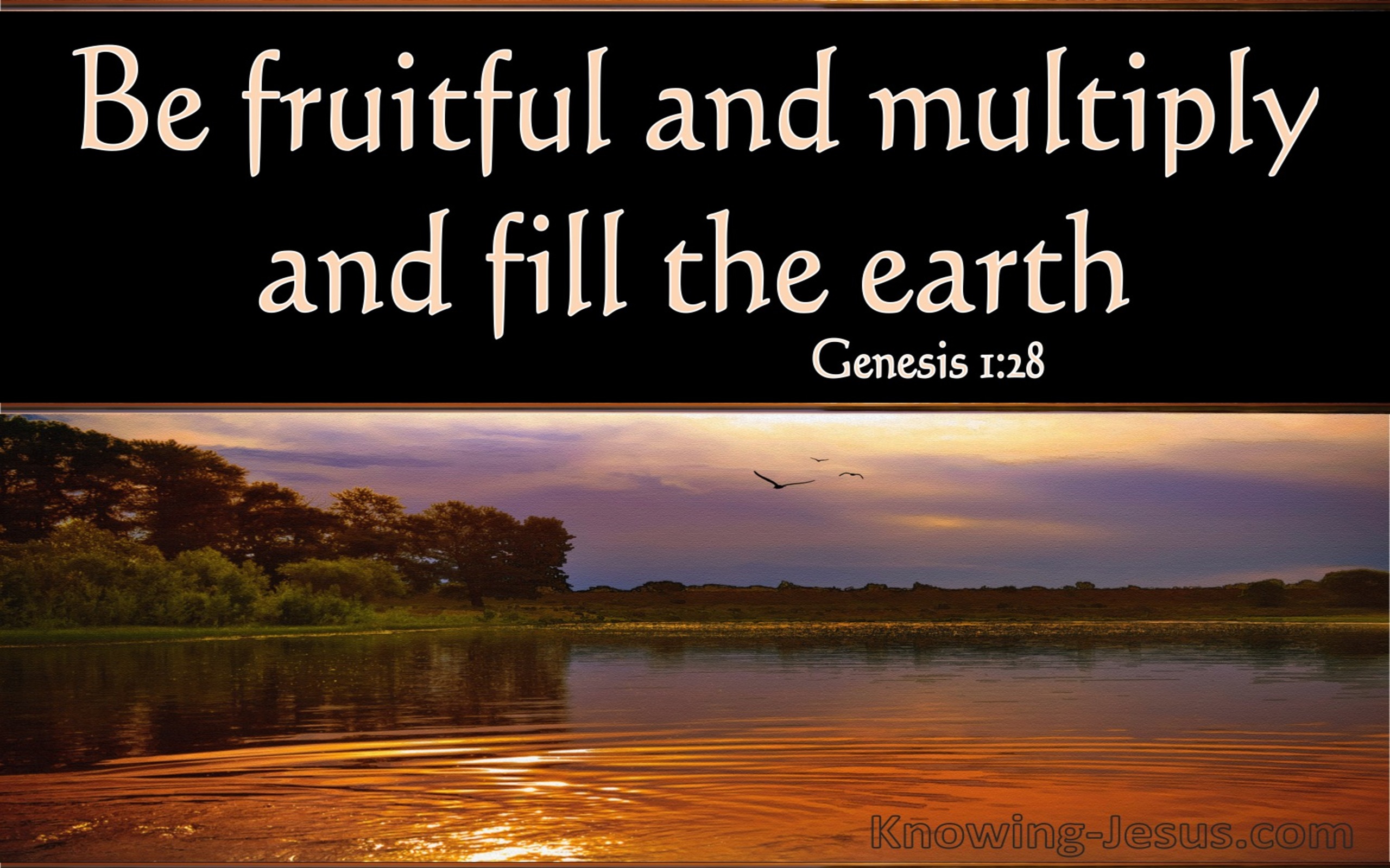 Genesis 1:28 Be Fruitful And Multiply (black)